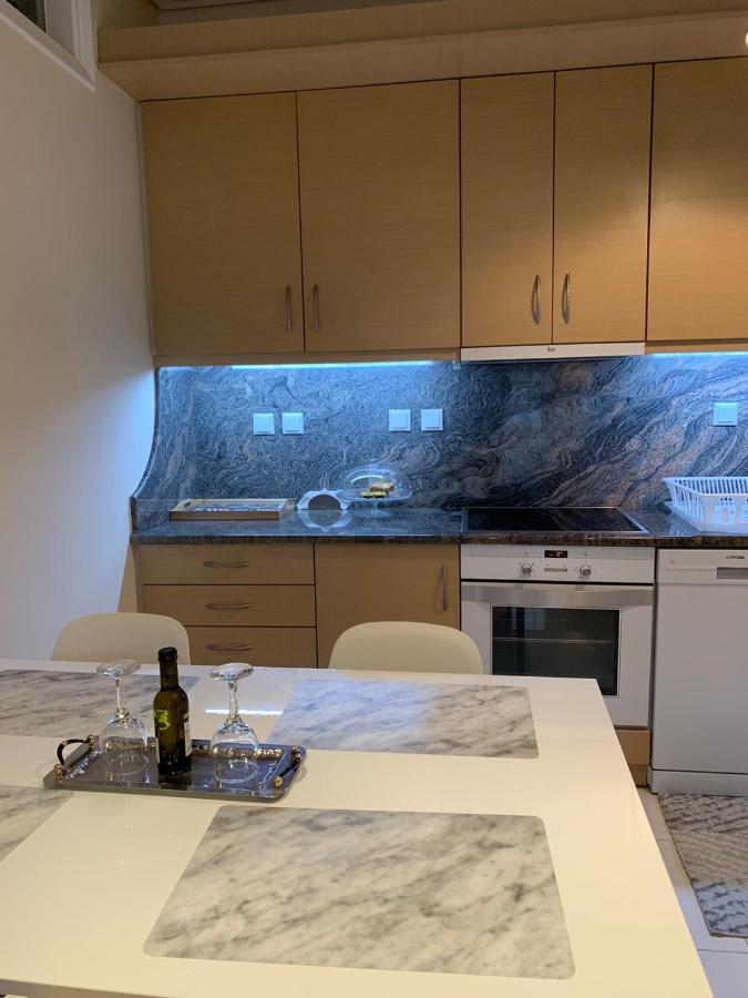 New Luxury Apartment In Central Suburb Of Athens Ngoại thất bức ảnh